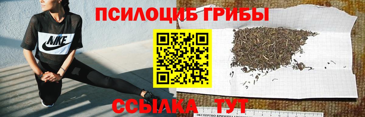 Псилоцибиновые грибы мухоморы Арсеньев